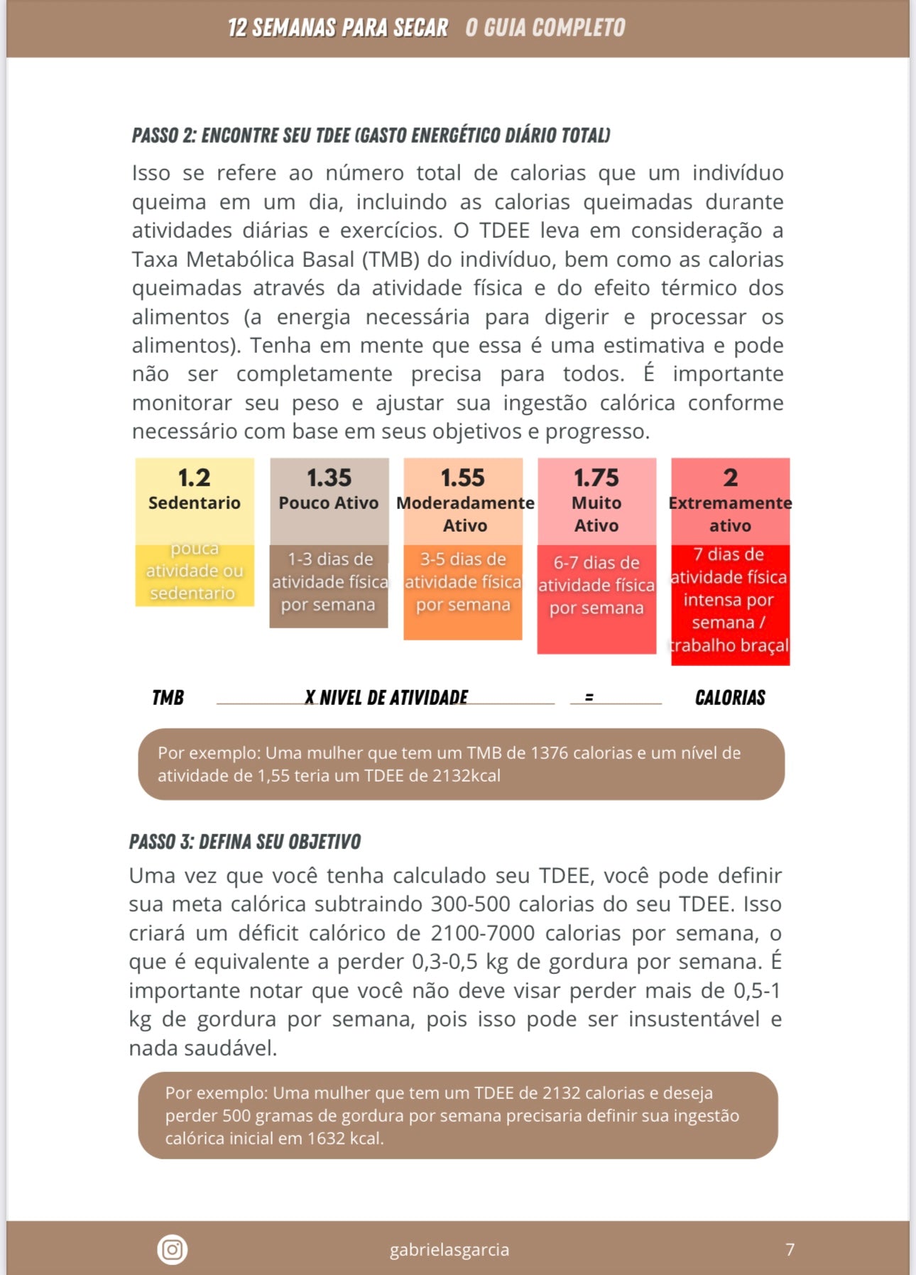 12 Semanas para Secar- Planilha de treinos & Nutrição
